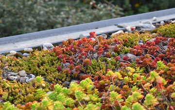 the cost of Chilmark green roof installation