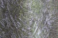 Chilmark fibreglass roof work